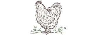 bbvf-chicken-icon