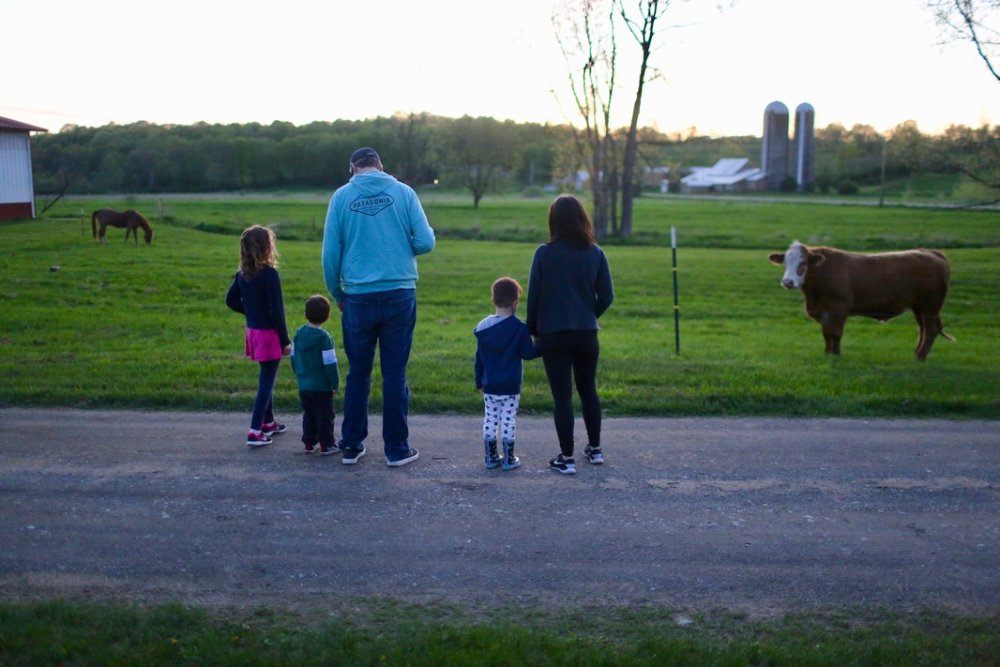 family getaway venue in Upstate NY - Farmstay in the Country