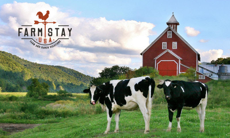 farm stay website