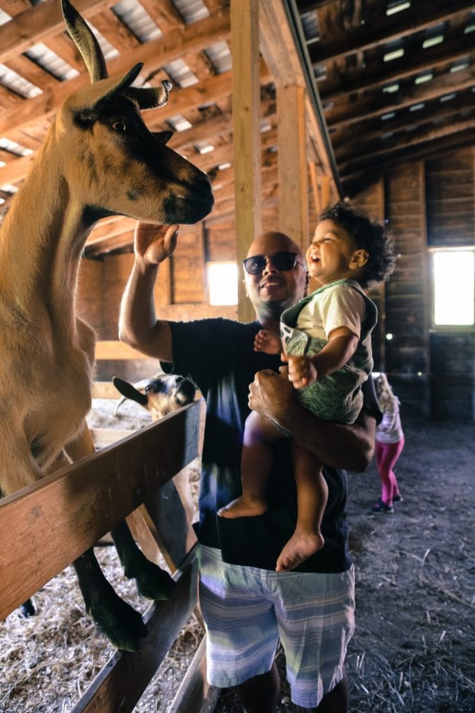 Family Getaway at Blind Buck Valley Farmstead - NYTrendyMoms
