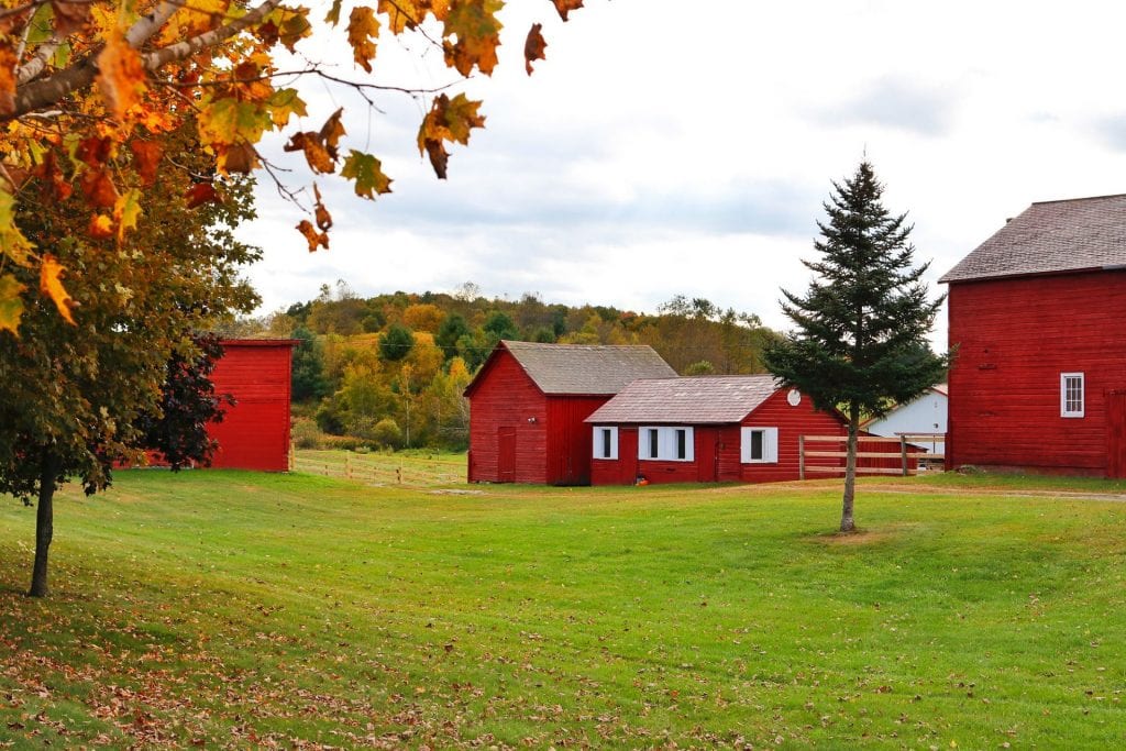 Farm Getaway with the Family