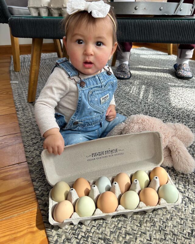 Fresh eggs for anyone? 🍳 ⠀⠀⠀⠀⠀⠀⠀⠀⠀ You haven’t had eggs until you’ve had fresh farm eggs. We’re lucky our girls lay for us all year round! But keeping a clean coop and feeding them lots of treats definitely helps 😉 ⠀⠀⠀⠀⠀⠀⠀⠀⠀ • • • #farmyardanimals #chickenfarming #chickenphotography #lovechickens #eggs #chickenfarmer #hatchingeggs #farmanimal #instachicken #eggsofinstagram #farmfun #happychickens #farmfresheggs #chickensofig #upstateny #saratogasprings #fresheggs #farmerlife